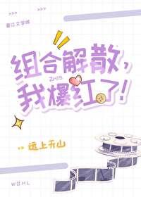 组合解散,我爆红了